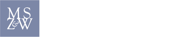 Mintzer Sarowitz Zeris & Willis, PLLC